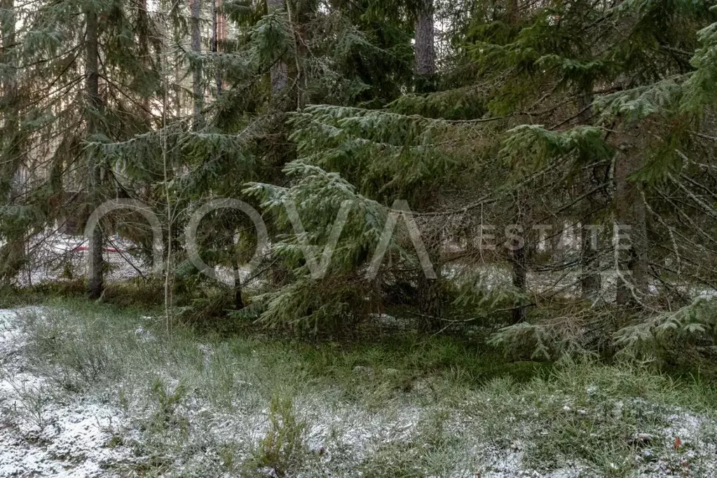 Участок в Ленинградская область, Выборгский район, Первомайское с/пос, ... - Фото 2