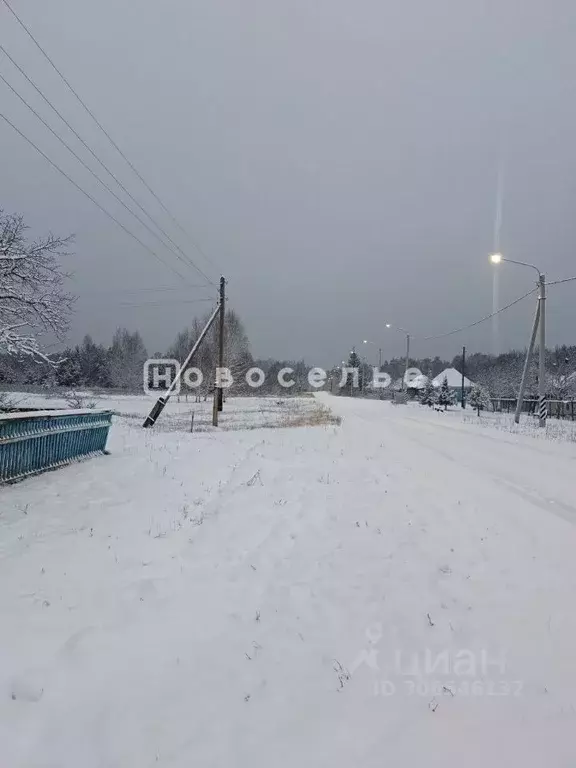 Дом в Рязанская область, Шацкий муниципальный округ, с. Завидное ул. ... - Фото 2