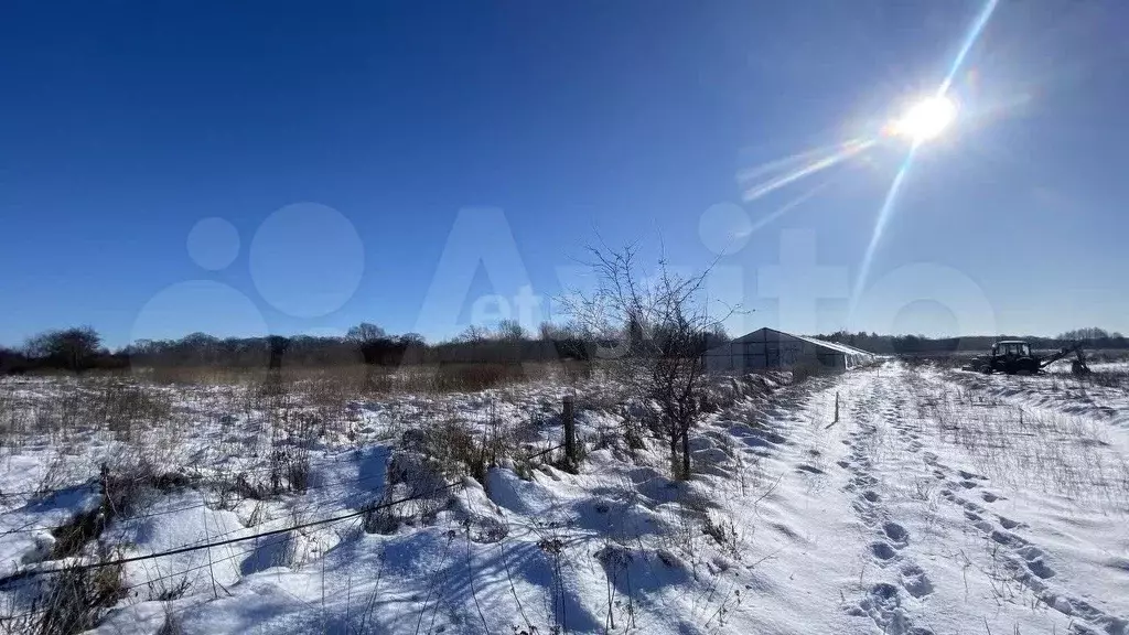 Участок 8 сот. (СНТ, ДНП) - Фото 0