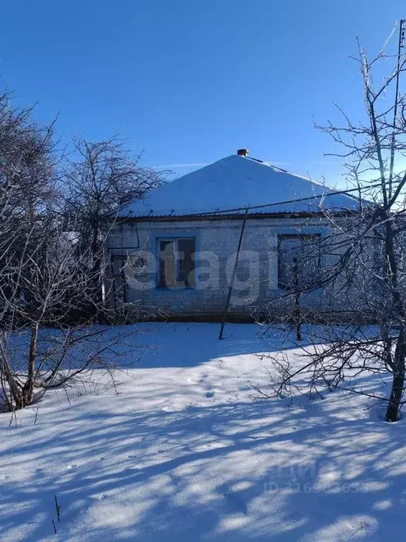 Дом в Белгородская область, Вейделевский район, Николаевское с/пос, с. ... - Фото 1