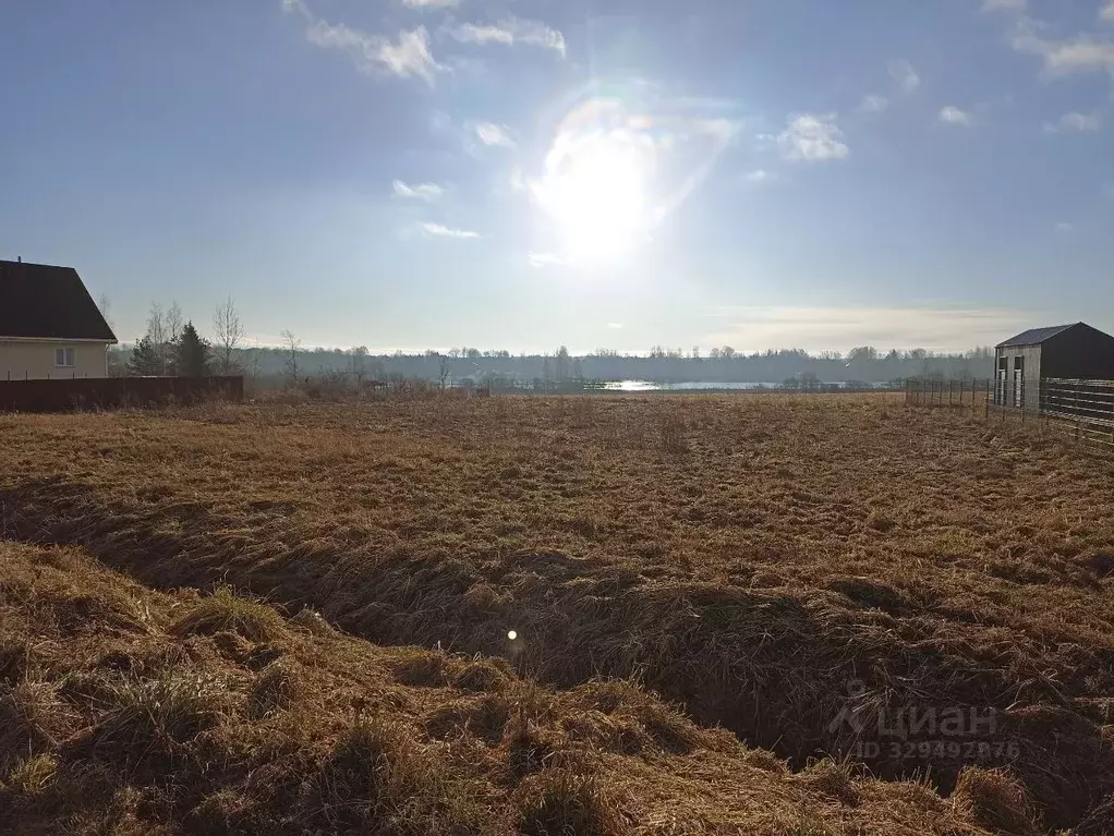 Участок в Новгородская область, Новгородский муниципальный район, ... - Фото 1
