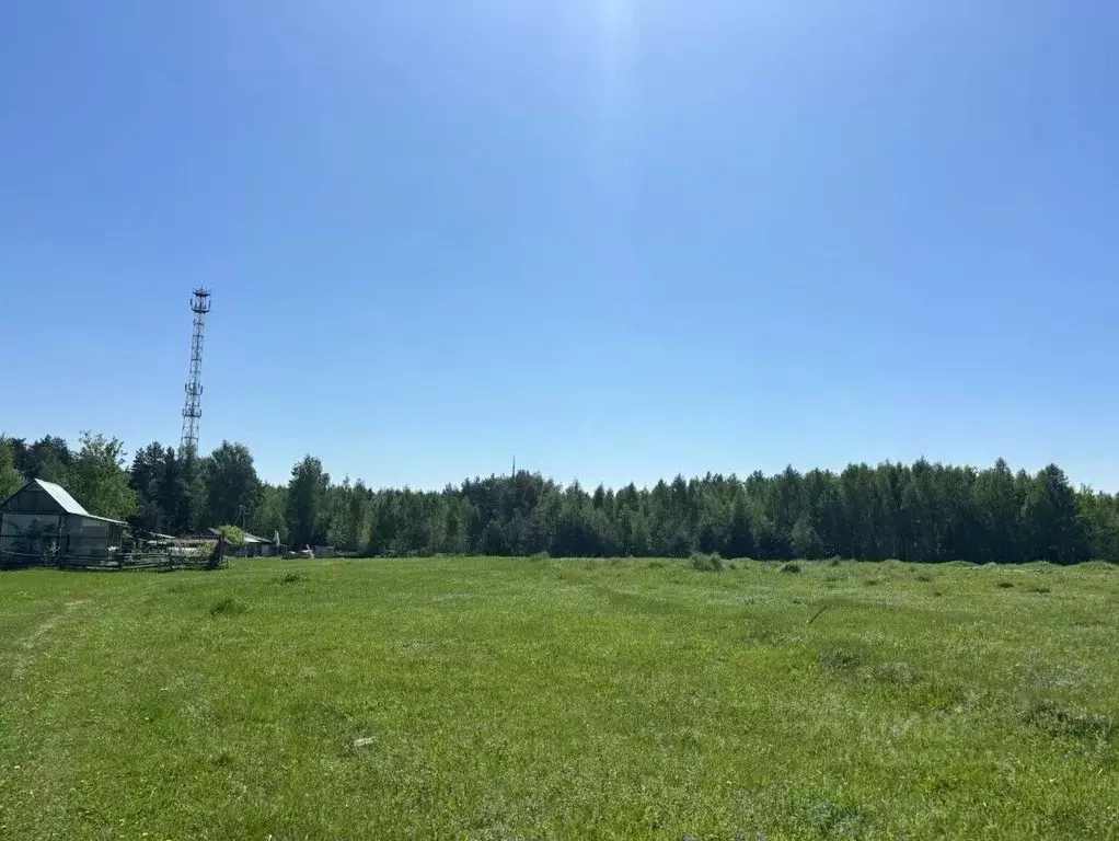 Участок в Московская область, Павлово-Посадский городской округ, д. ... - Фото 1
