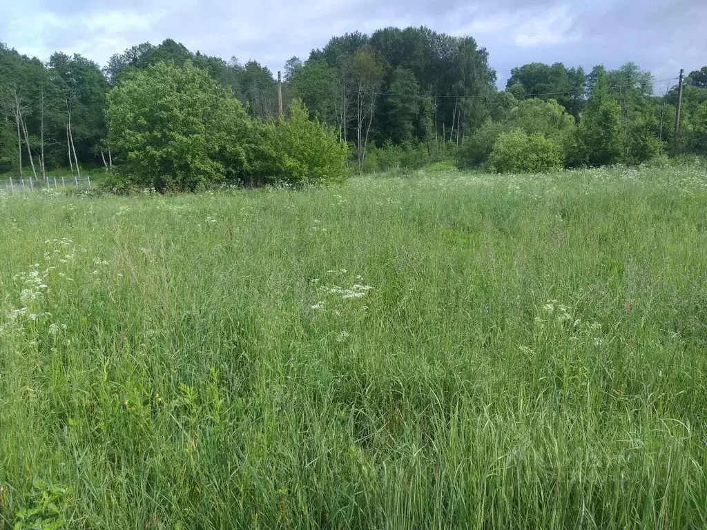 Участок в Москва д. Дмитровка,  (8.57 сот.) - Фото 1