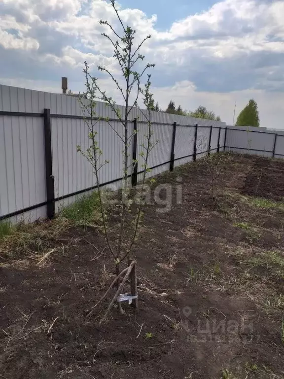 Участок в Мордовия, с. Кочкурово ул. Школьная (11.0 сот.) - Фото 1