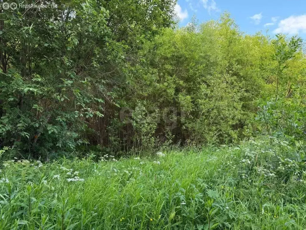 Участок в Красавино, Железнодорожная улица (10 м) - Фото 1