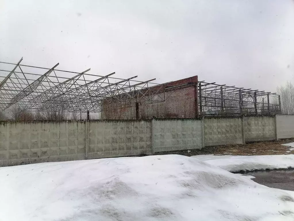 От производителя можайск