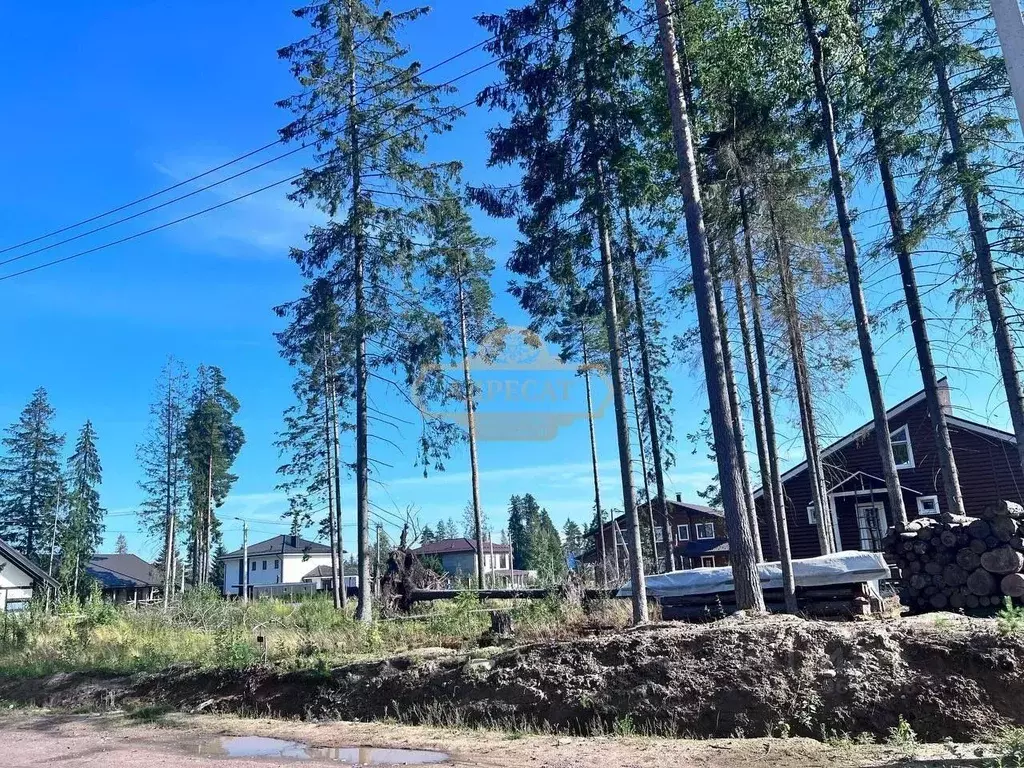 Участок в Ленинградская область, Всеволожский район, Агалатовское ... - Фото 1