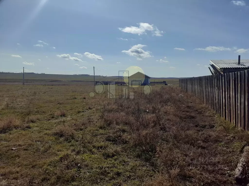 Участок в Иркутская область, Эхирит-Булагатский район, Кулункунское ... - Фото 2