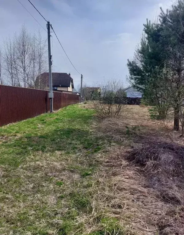 Участок в Московская область, Богородский городской округ, д. Калитино ... - Фото 2
