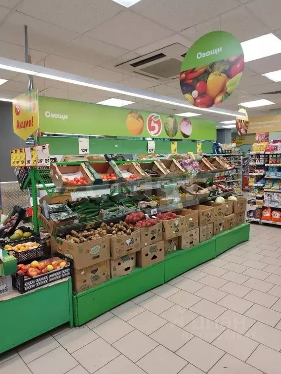 Торговая площадь в Пермский край, Соликамск ул. Пушкина, 1 (570 м) - Фото 1