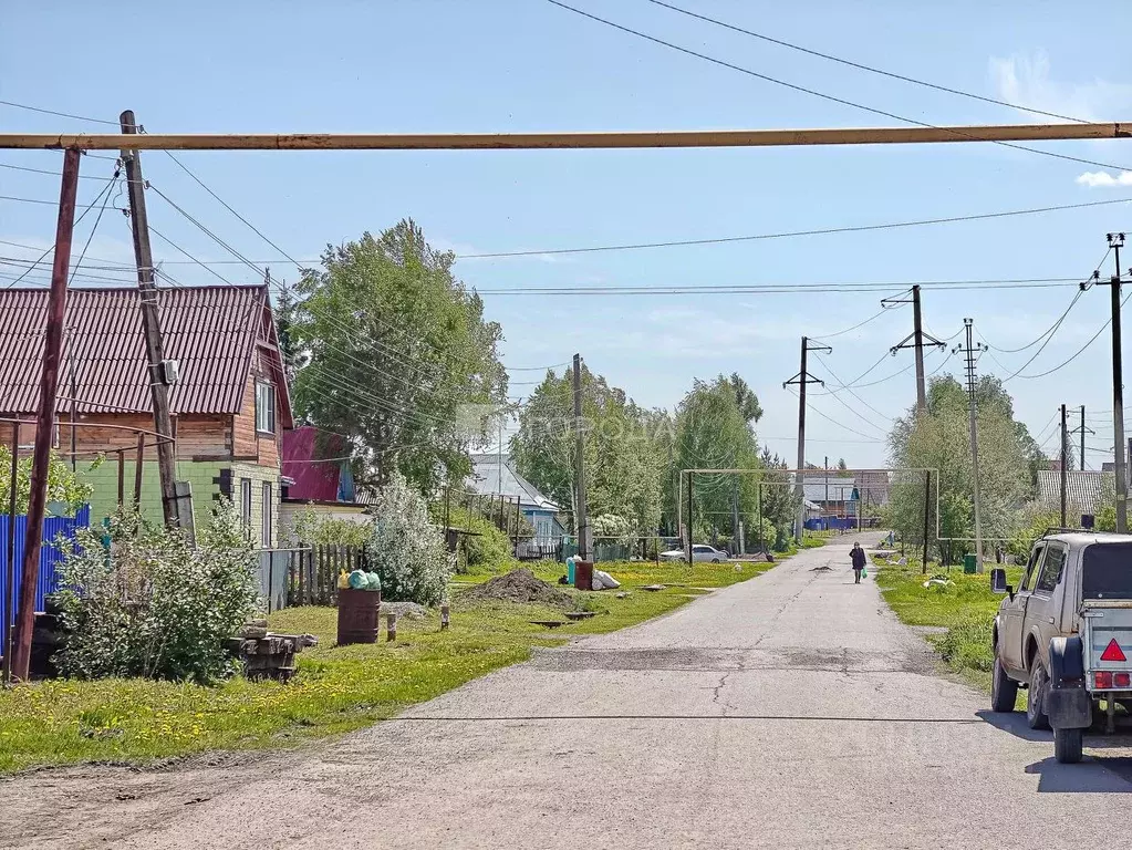 Участок в Новосибирская область, Коченево рп ул. Чапаева, 94 (8.0 ... - Фото 1
