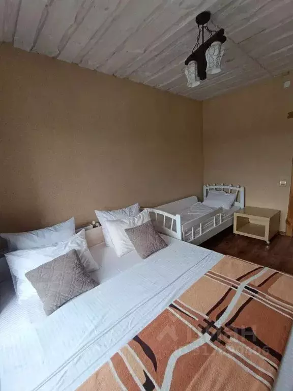 Дом в Пензенская область, Пенза ул. Камыши-Хвощи, 81 (210 м) - Фото 1