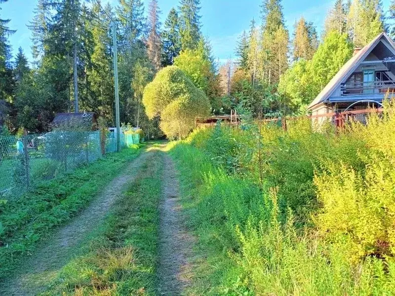 Участок в Ленинградская область, Выборгский район, Красносельское ... - Фото 0