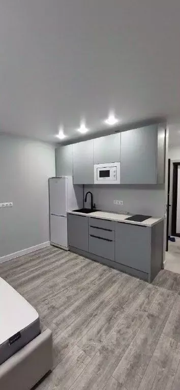 Студия Московская область, Красногорск городской округ, д. Глухово ул. ... - Фото 1