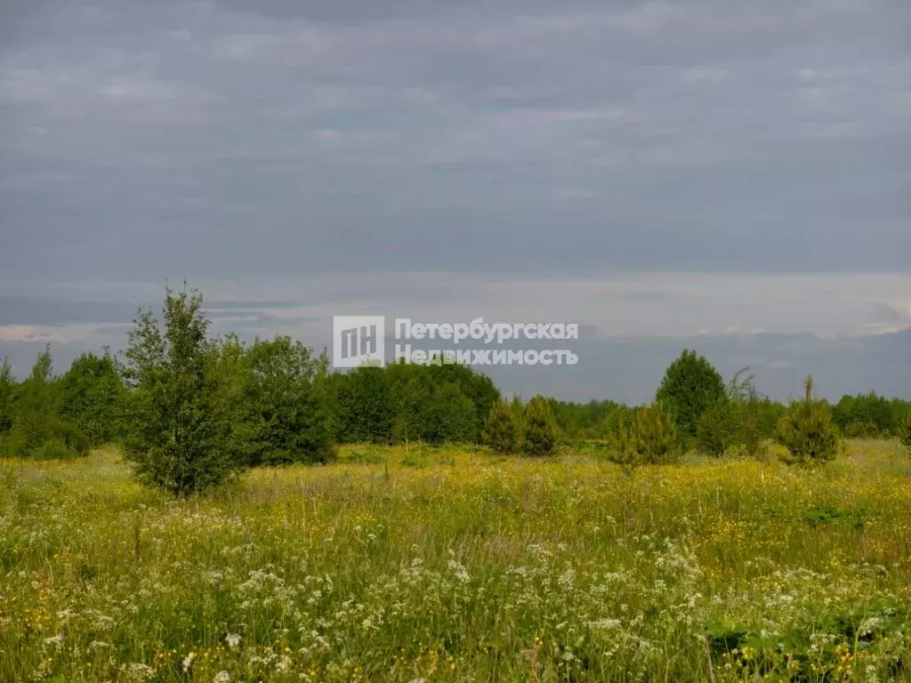 Участок в Ленинградская область, Кировский район, Мгинское городское ... - Фото 2