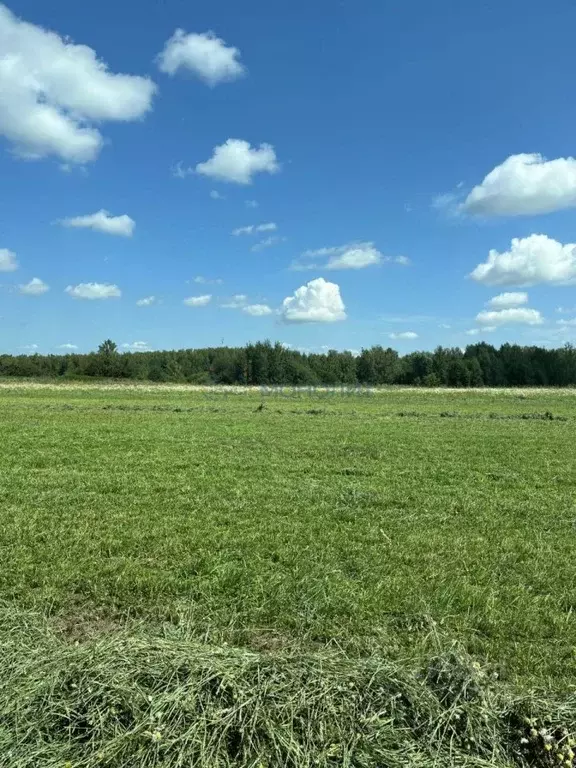 Участок в Нижегородская область, Дальнеконстантиновский муниципальный ... - Фото 1