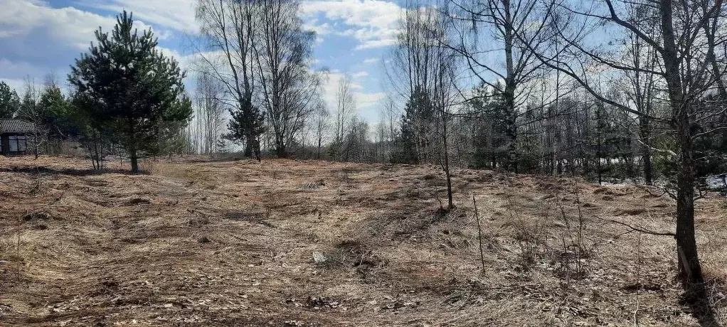 Участок в Новгородская область, Боровичский район, д. Егла Зеленый ... - Фото 1