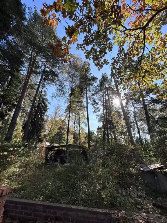 Участок в Московская область, Щелково городской округ, Загорянский пгт ... - Фото 1