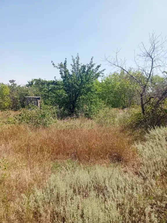 Участок в Волгоградская область, Волгоград ул. Неждановой, 10Дс17 (6.5 ... - Фото 2