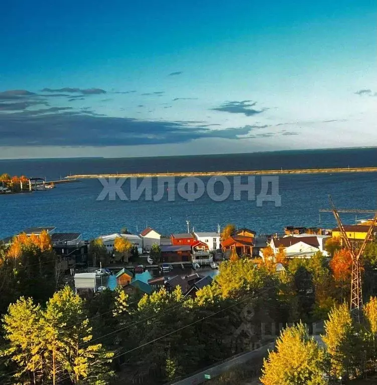 2-к кв. Новосибирская область, Новосибирск Шлюз мкр, ул. Русская, 40 ... - Фото 1