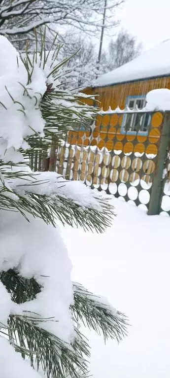 3-к кв. Ярославская область, Рыбинский муниципальный округ, пос. ... - Фото 1