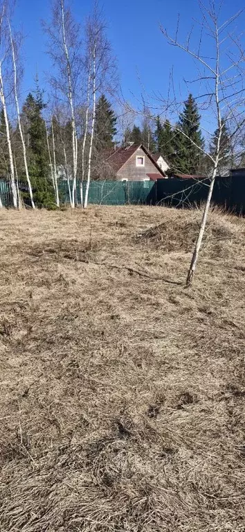 Участок в Ленинградская область, Гатчинский муниципальный округ, ... - Фото 2