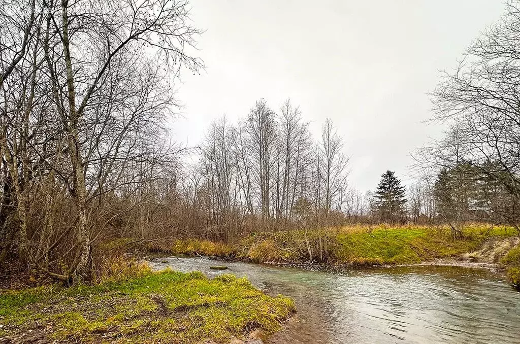 Участок в Ропшинское сельское поселение, садоводческий массив Новая ... - Фото 1