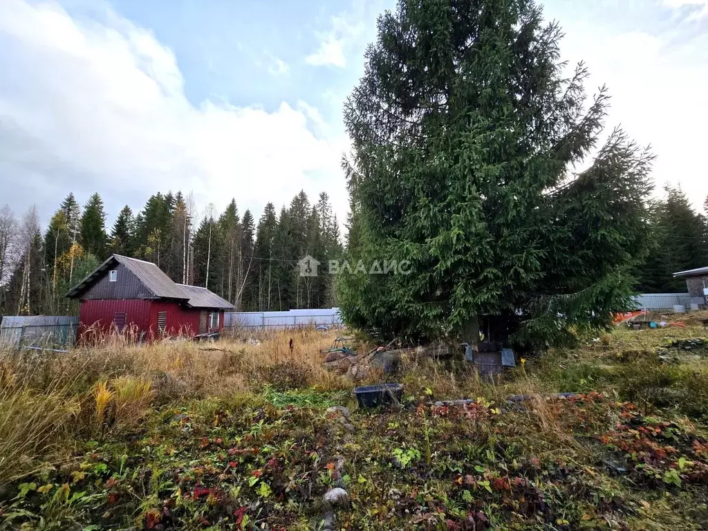 Участок в Карелия, Прионежский район, Нововилговское с/пос, ... - Фото 1