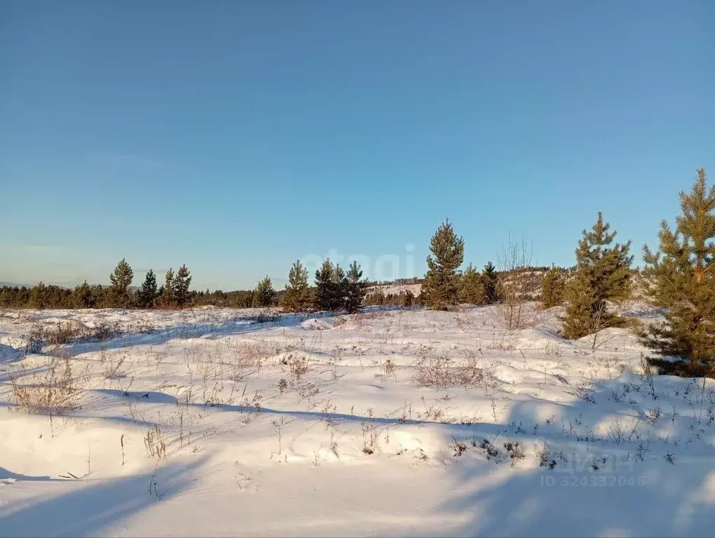 Участок в Бурятия, Тарбагатайский район, Саянтуйское с/пос, с. Нижний ... - Фото 1