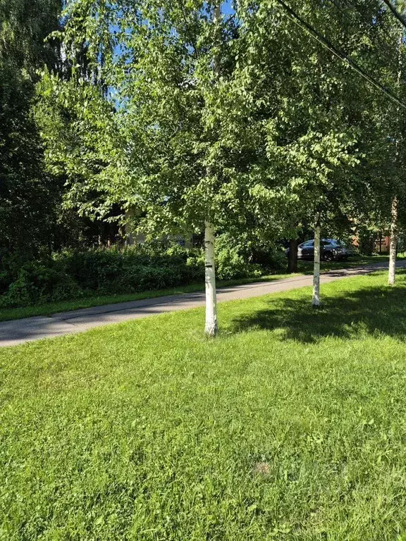 Участок в Санкт-Петербург пос. Тярлево, Нововестинская ул., 38 (64.0 ... - Фото 0
