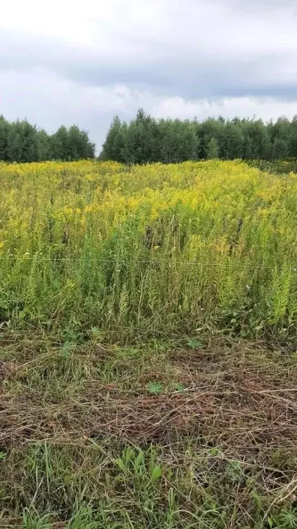 Участок в Нижегородская область, Богородский муниципальный округ, д. ... - Фото 1