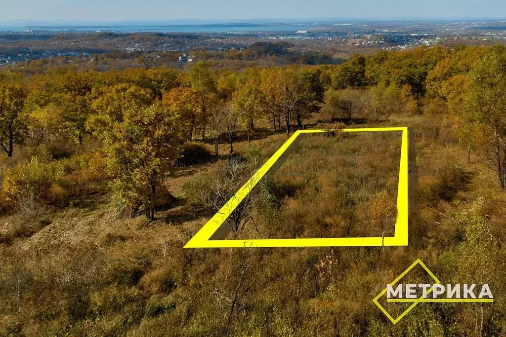 Участок в Приморский край, Артем Солидарность СТ,  (10.0 сот.) - Фото 2