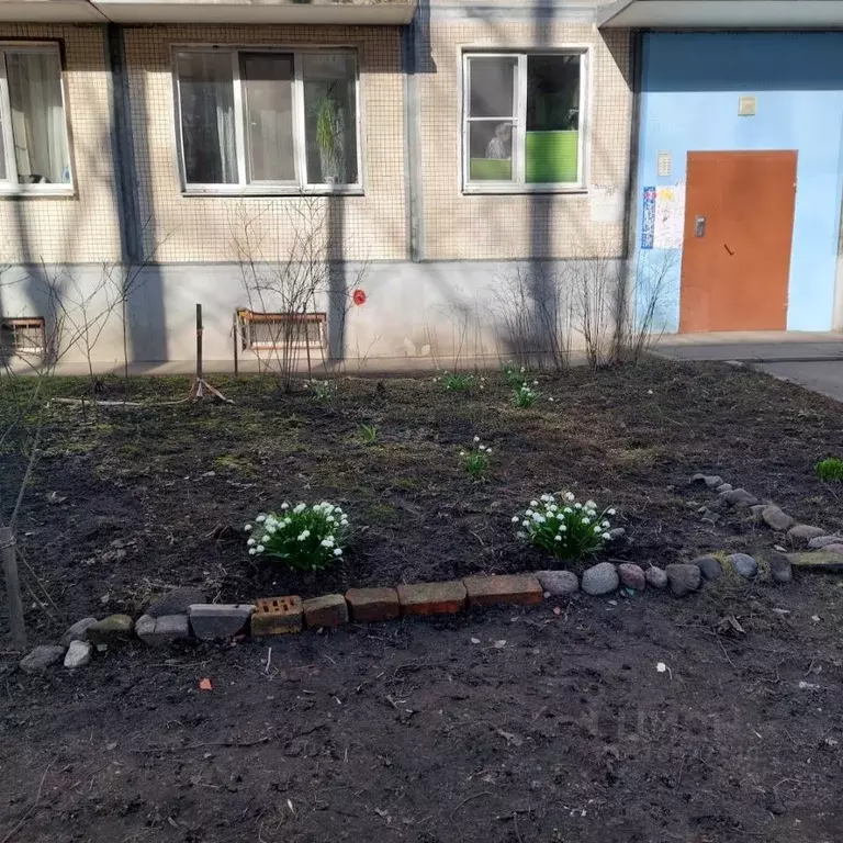 1-к кв. Санкт-Петербург ул. Вавиловых, 5К3 (30.0 м) - Фото 1