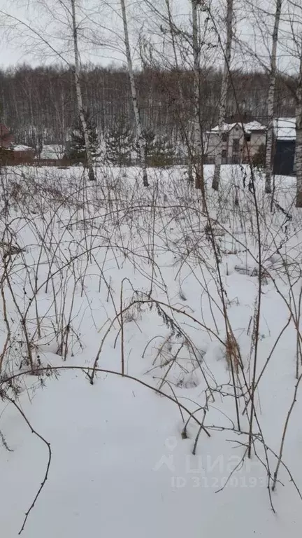 Участок в Нижегородская область, Кстовский муниципальный округ, с. ... - Фото 1