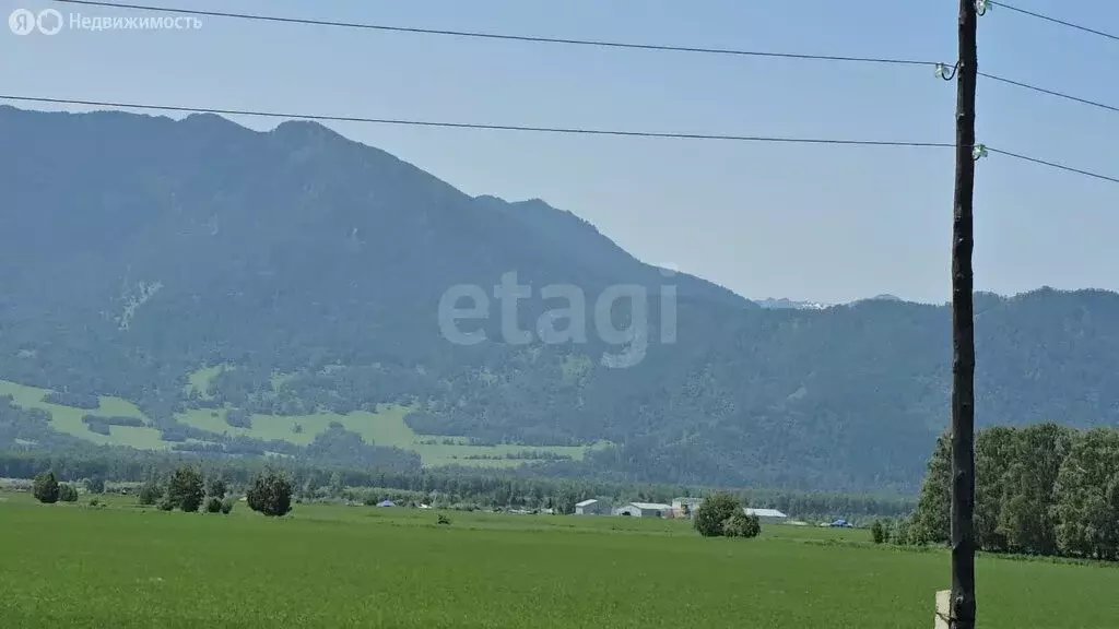 Участок в Усть-Коксинский район, село Усть-Кокса (440 м) - Фото 0