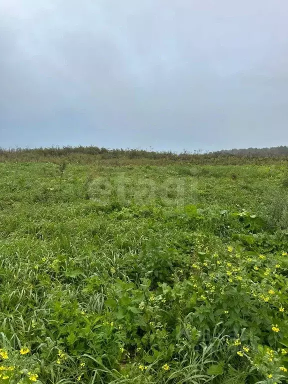 Участок в Сахалинская область, Анивский городской округ, с. ... - Фото 1