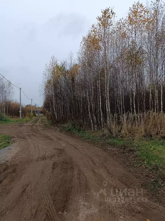 Участок в Кировская область, Киров городской округ, д. Чарушины ул. ... - Фото 2