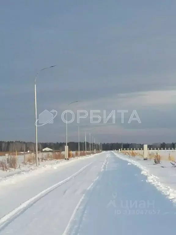 Участок в Тюменская область, Тюменский район, с. Каменка, Завидово кп  ... - Фото 0