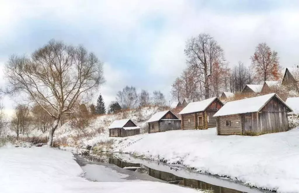 Участок в Некрасовский район, сельское поселение Красный Профинтерн, ... - Фото 0