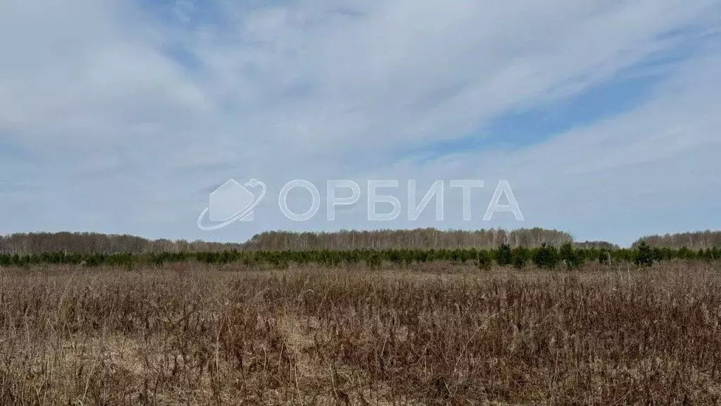 Участок в Тюменская область, Тюменский район, пос. Новотарманский ... - Фото 1