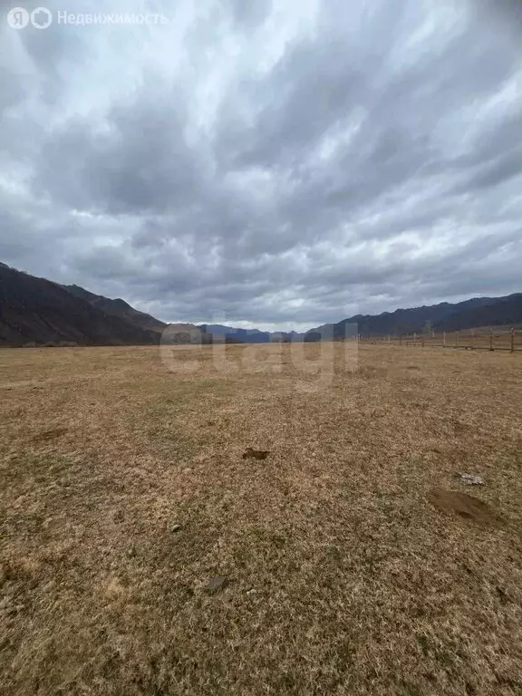 Участок в Чемальский район, село Куюс (10 м) - Фото 1