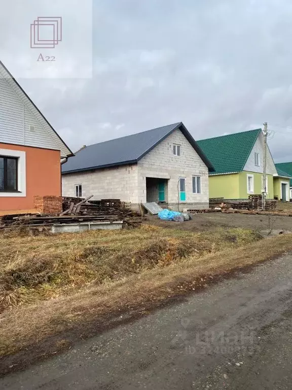 Дом в Алтайский край, Барнаул городской округ, пос. Бельмесево ул. ... - Фото 2