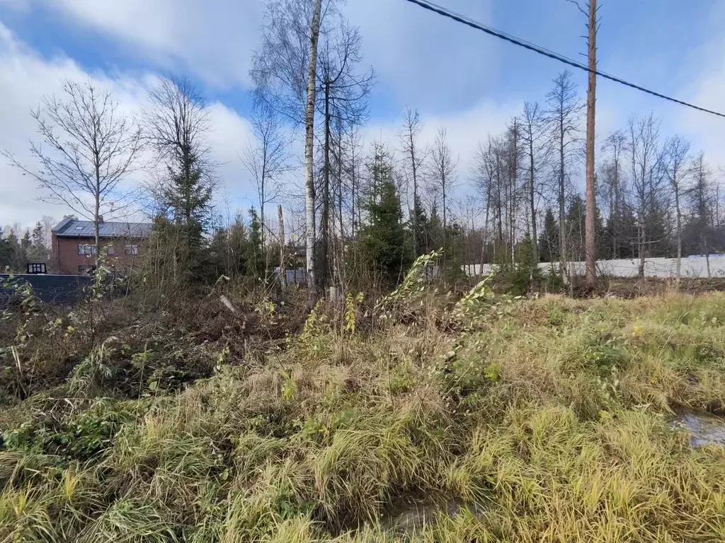 Участок в Московская область, Одинцовский городской округ, д. Сивково, ... - Фото 0