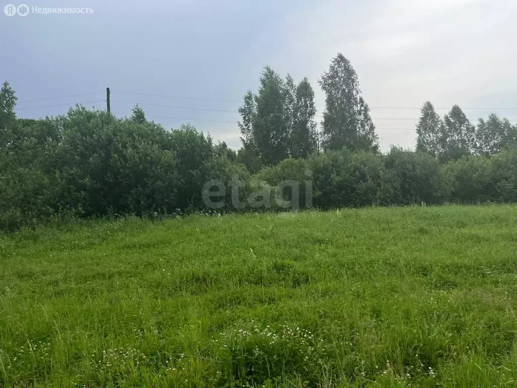 Участок в Майминский район, село Кызыл-Озек (10 м) - Фото 1