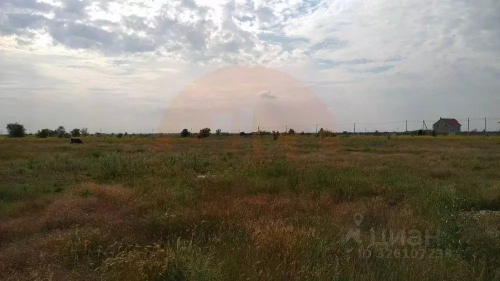 Участок в Крым, Сакский район, с. Фрунзе ул. Таврическая (10.0 сот.) - Фото 1