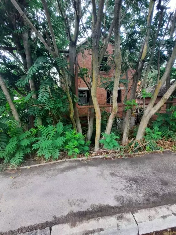 Участок в Ростовская область, Аксайский район, Большелогское с/пос, ... - Фото 1