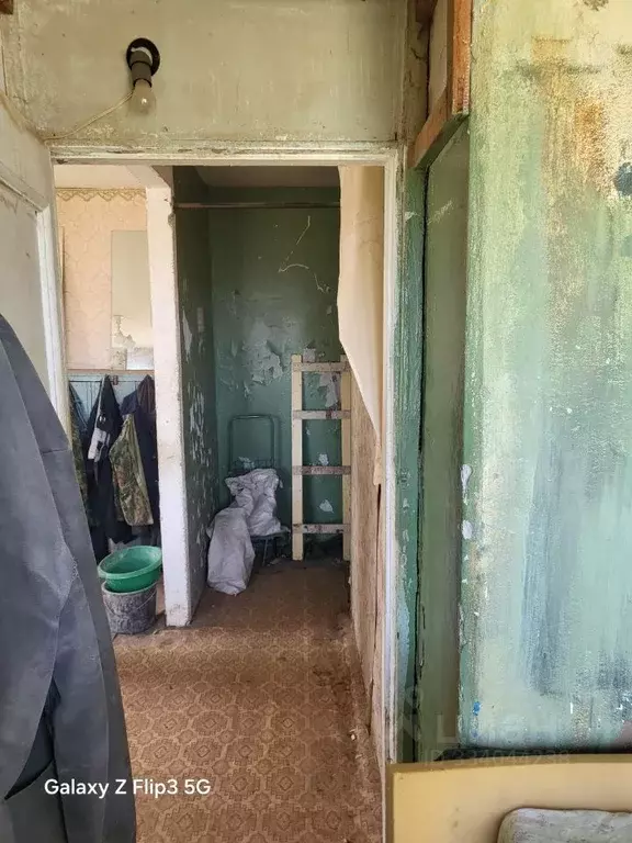 Помещение свободного назначения в Нижегородская область, Богородский ... - Фото 2