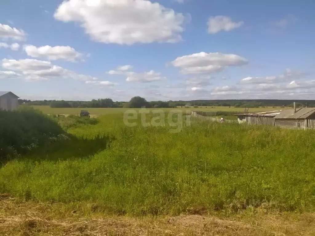 Участок в Вологодская область, Великоустюгский муниципальный округ, д. ... - Фото 1