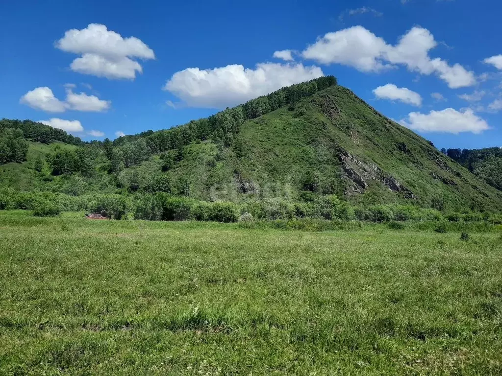Участок 4,8 га (СНТ, ДНП) - Фото 0