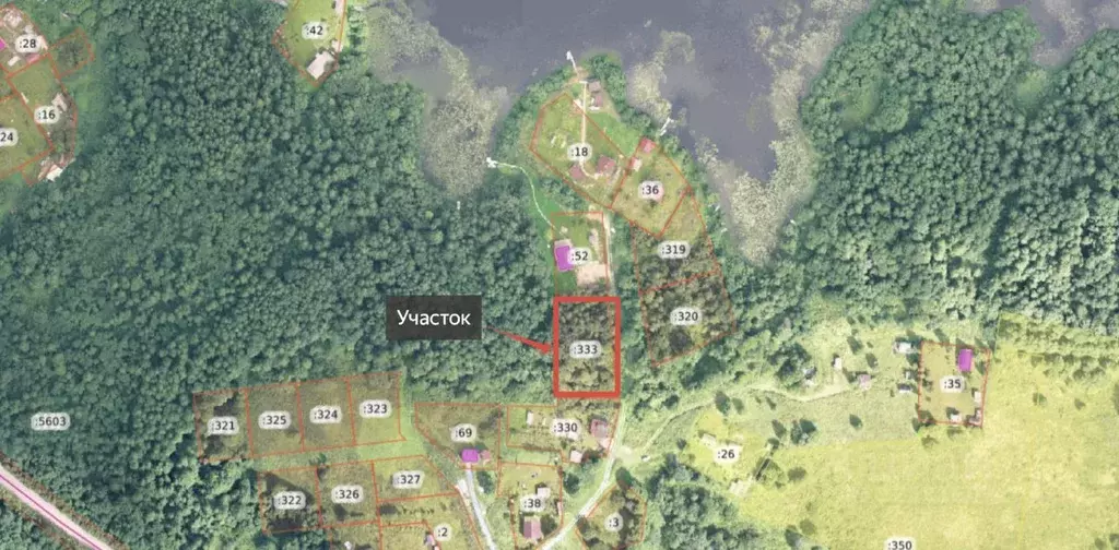 Участок в Ленинградская область, Подпорожское городское поселение  ... - Фото 2